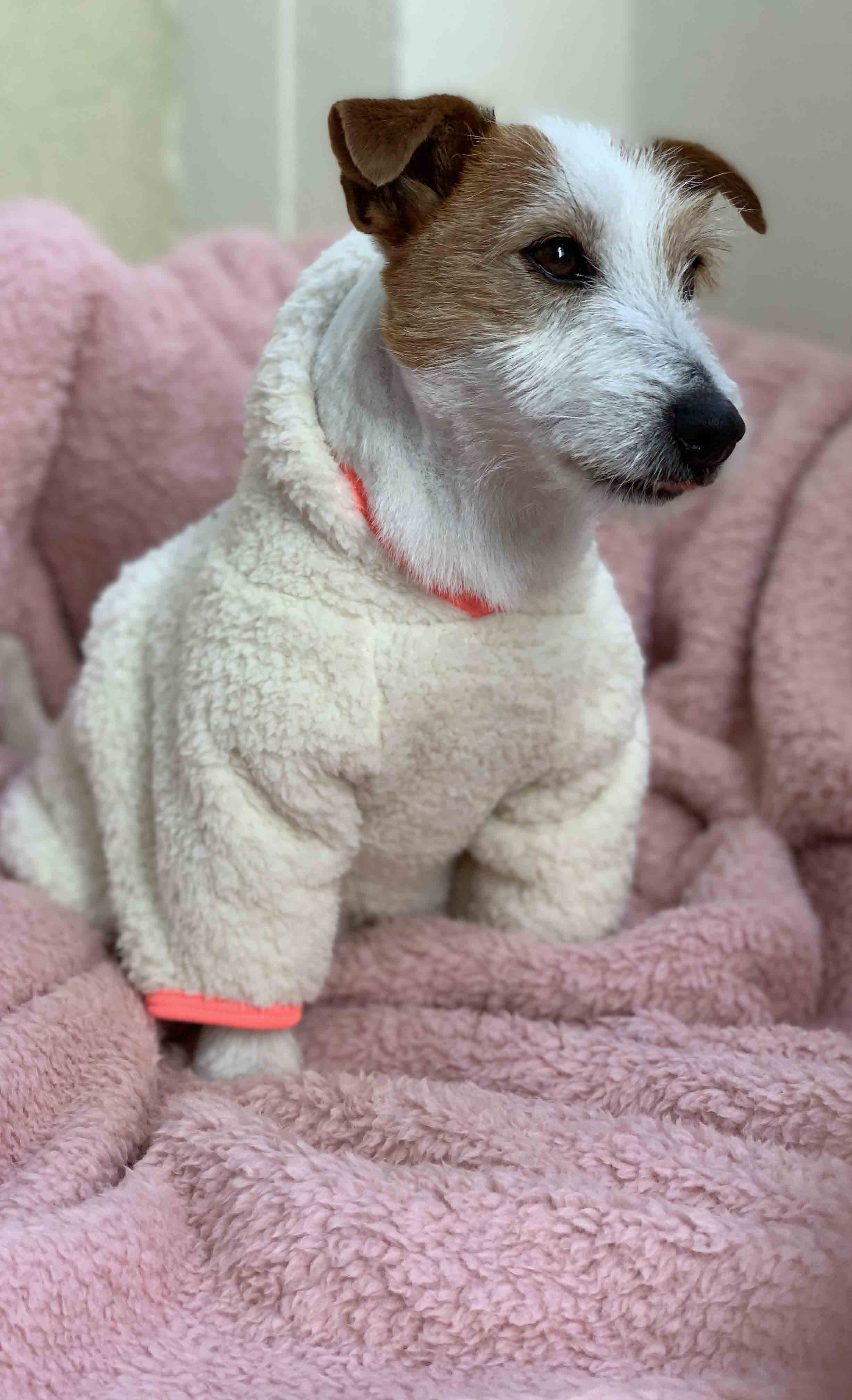 Poncho Sherpet