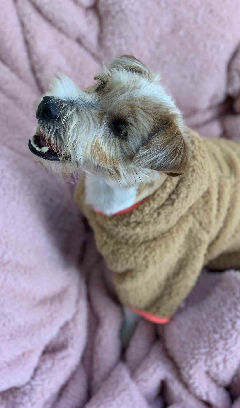 Poncho Sherpet